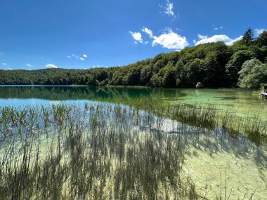Plitvice Lakes Ulusal Parkı (UNESCO) - Plitvica, Hırvatistan veya Slikoviti krajobrazi i prekrasni motivi iz nacionalnog parka Plitvicka jezera - Plitvice, Hrvatska