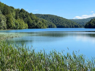Plitvice Lakes Ulusal Parkı (UNESCO) - Plitvica, Hırvatistan veya Slikoviti krajobrazi i prekrasni motivi iz nacionalnog parka Plitvicka jezera - Plitvice, Hrvatska