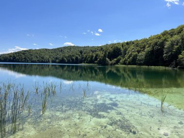 Plitvice Lakes Ulusal Parkı (UNESCO) - Plitvica, Hırvatistan veya Slikoviti krajobrazi i prekrasni motivi iz nacionalnog parka Plitvicka jezera - Plitvice, Hrvatska