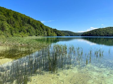 Plitvice Lakes Ulusal Parkı (UNESCO) - Plitvica, Hırvatistan veya Slikoviti krajobrazi i prekrasni motivi iz nacionalnog parka Plitvicka jezera - Plitvice, Hrvatska