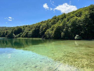 Plitvice Lakes Ulusal Parkı (UNESCO) - Plitvica, Hırvatistan veya Slikoviti krajobrazi i prekrasni motivi iz nacionalnog parka Plitvicka jezera - Plitvice, Hrvatska