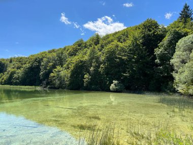 Plitvice Lakes Ulusal Parkı (UNESCO) - Plitvica, Hırvatistan veya Slikoviti krajobrazi i prekrasni motivi iz nacionalnog parka Plitvicka jezera - Plitvice, Hrvatska