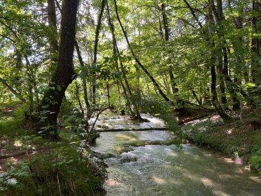 Plitvice Lakes Ulusal Parkı (UNESCO) - Plitvica, Hırvatistan veya Slikoviti krajobrazi i prekrasni motivi iz nacionalnog parka Plitvicka jezera - Plitvice, Hrvatska