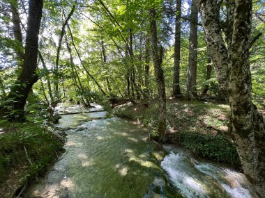 Plitvice Lakes Ulusal Parkı (UNESCO) - Plitvica, Hırvatistan veya Slikoviti krajobrazi i prekrasni motivi iz nacionalnog parka Plitvicka jezera - Plitvice, Hrvatska