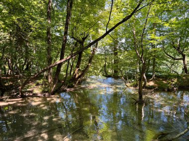 Plitvice Lakes Ulusal Parkı (UNESCO) - Plitvica, Hırvatistan veya Slikoviti krajobrazi i prekrasni motivi iz nacionalnog parka Plitvicka jezera - Plitvice, Hrvatska