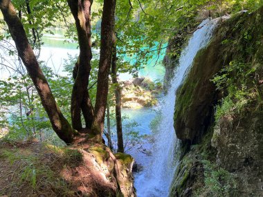 Plitvice Lakes Ulusal Parkı (UNESCO) - Plitvica, Hırvatistan veya Slikoviti krajobrazi i prekrasni motivi iz nacionalnog parka Plitvicka jezera - Plitvice, Hrvatska