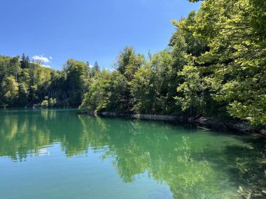 Plitvice Lakes Ulusal Parkı (UNESCO) - Plitvica, Hırvatistan veya Slikoviti krajobrazi i prekrasni motivi iz nacionalnog parka Plitvicka jezera - Plitvice, Hrvatska