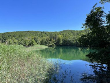 Plitvice Lakes Ulusal Parkı (UNESCO) - Plitvica, Hırvatistan veya Slikoviti krajobrazi i prekrasni motivi iz nacionalnog parka Plitvicka jezera - Plitvice, Hrvatska