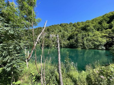 Plitvice Lakes Ulusal Parkı (UNESCO) - Plitvica, Hırvatistan veya Slikoviti krajobrazi i prekrasni motivi iz nacionalnog parka Plitvicka jezera - Plitvice, Hrvatska
