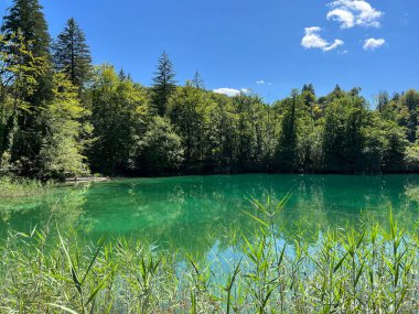 Plitvice Lakes Ulusal Parkı (UNESCO) - Plitvica, Hırvatistan veya Slikoviti krajobrazi i prekrasni motivi iz nacionalnog parka Plitvicka jezera - Plitvice, Hrvatska