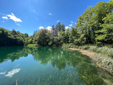 Plitvice Lakes Ulusal Parkı (UNESCO) - Plitvica, Hırvatistan veya Slikoviti krajobrazi i prekrasni motivi iz nacionalnog parka Plitvicka jezera - Plitvice, Hrvatska