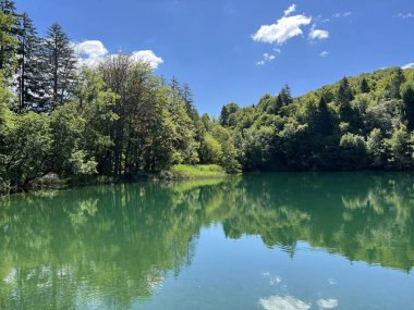 Plitvice Lakes Ulusal Parkı (UNESCO) - Plitvica, Hırvatistan veya Slikoviti krajobrazi i prekrasni motivi iz nacionalnog parka Plitvicka jezera - Plitvice, Hrvatska