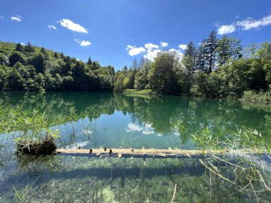 Plitvice Lakes Ulusal Parkı (UNESCO) - Plitvica, Hırvatistan veya Slikoviti krajobrazi i prekrasni motivi iz nacionalnog parka Plitvicka jezera - Plitvice, Hrvatska