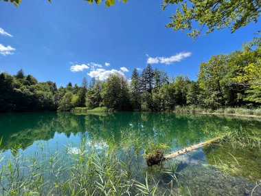 Plitvice Lakes Ulusal Parkı (UNESCO) - Plitvica, Hırvatistan veya Slikoviti krajobrazi i prekrasni motivi iz nacionalnog parka Plitvicka jezera - Plitvice, Hrvatska