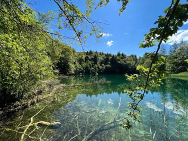 Plitvice Lakes Ulusal Parkı (UNESCO) - Plitvica, Hırvatistan veya Slikoviti krajobrazi i prekrasni motivi iz nacionalnog parka Plitvicka jezera - Plitvice, Hrvatska