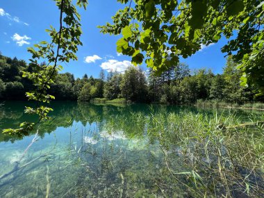 Plitvice Lakes Ulusal Parkı (UNESCO) - Plitvica, Hırvatistan veya Slikoviti krajobrazi i prekrasni motivi iz nacionalnog parka Plitvicka jezera - Plitvice, Hrvatska
