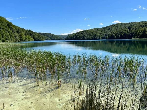 Пейзаж Окружающая Среда Национального Парка Плитвицкие Озера Юнеско Плитвица Хорватия — стоковое фото