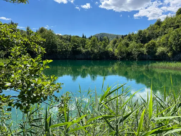 プリトヴィス湖国立公園 ユネスコ の風景と環境 プリトヴィツィカ クロアチア またはクロアチアのコブラジー イスラスラヴィヴィヴィヴィヴィオスカパリトヴィツェーラ プリトヴィツェス — ストック写真