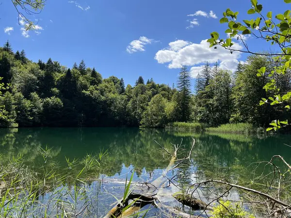 Plitvice Lakes Ulusal Parkı (UNESCO) - Plitvica, Hırvatistan veya Slikoviti krajobrazi i prekrasni motivi iz nacionalnog parka Plitvicka jezera - Plitvice, Hrvatska