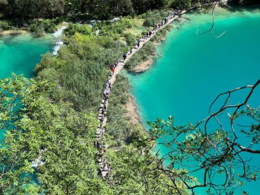 Plitvice Gölleri Ulusal Parkı 'ndaki göller ve orman boyunca tahta patikalar ve geçitler - Plitvica, Hırvatistan (Drvene staze i setnice u Nacionalnom parku Plitvicka jezera - Hrvatska)