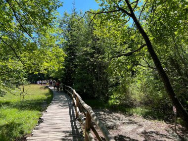 Plitvice Gölleri Ulusal Parkı 'ndaki göller ve orman boyunca tahta patikalar ve geçitler - Plitvica, Hırvatistan (Drvene staze i setnice u Nacionalnom parku Plitvicka jezera - Hrvatska)