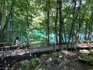 Plitvice Gölleri Ulusal Parkı 'ndaki göller ve orman boyunca tahta patikalar ve geçitler - Plitvica, Hırvatistan (Drvene staze i setnice u Nacionalnom parku Plitvicka jezera - Hrvatska)
