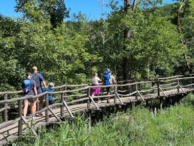 Plitvice Gölleri Ulusal Parkı 'ndaki göller ve orman boyunca tahta patikalar ve geçitler - Plitvica, Hırvatistan (Drvene staze i setnice u Nacionalnom parku Plitvicka jezera - Hrvatska)