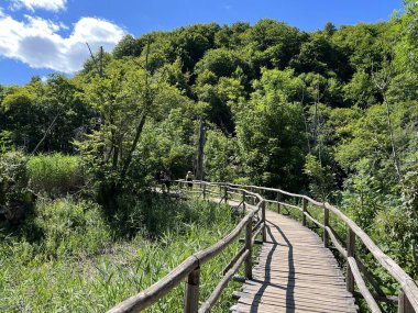 Plitvice Gölleri Ulusal Parkı 'ndaki göller ve orman boyunca tahta patikalar ve geçitler - Plitvica, Hırvatistan (Drvene staze i setnice u Nacionalnom parku Plitvicka jezera - Hrvatska)