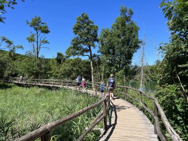 Plitvice Gölleri Ulusal Parkı 'ndaki göller ve orman boyunca tahta patikalar ve geçitler - Plitvica, Hırvatistan (Drvene staze i setnice u Nacionalnom parku Plitvicka jezera - Hrvatska)