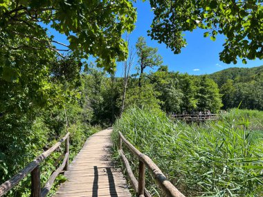 Plitvice Gölleri Ulusal Parkı 'ndaki göller ve orman boyunca tahta patikalar ve geçitler - Plitvica, Hırvatistan (Drvene staze i setnice u Nacionalnom parku Plitvicka jezera - Hrvatska)