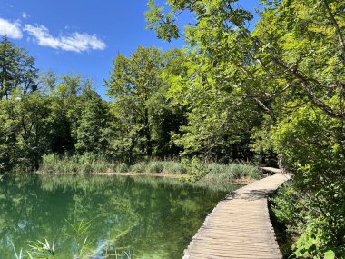 Plitvice Gölleri Ulusal Parkı 'ndaki göller ve orman boyunca tahta patikalar ve geçitler - Plitvica, Hırvatistan (Drvene staze i setnice u Nacionalnom parku Plitvicka jezera - Hrvatska)