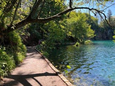 Plitvice Gölleri Ulusal Parkı 'ndaki göller ve orman boyunca tahta patikalar ve geçitler - Plitvica, Hırvatistan (Drvene staze i setnice u Nacionalnom parku Plitvicka jezera - Hrvatska)