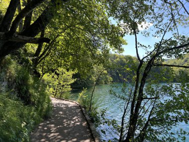 Plitvice Gölleri Ulusal Parkı 'ndaki göller ve orman boyunca tahta patikalar ve geçitler - Plitvica, Hırvatistan (Drvene staze i setnice u Nacionalnom parku Plitvicka jezera - Hrvatska)