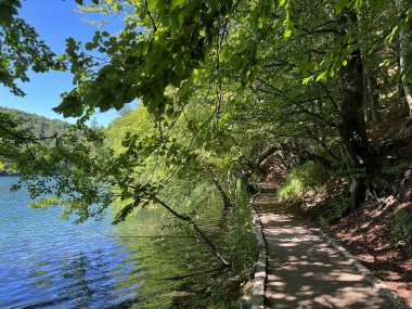 Plitvice Gölleri Ulusal Parkı 'ndaki göller ve orman boyunca tahta patikalar ve geçitler - Plitvica, Hırvatistan (Drvene staze i setnice u Nacionalnom parku Plitvicka jezera - Hrvatska)