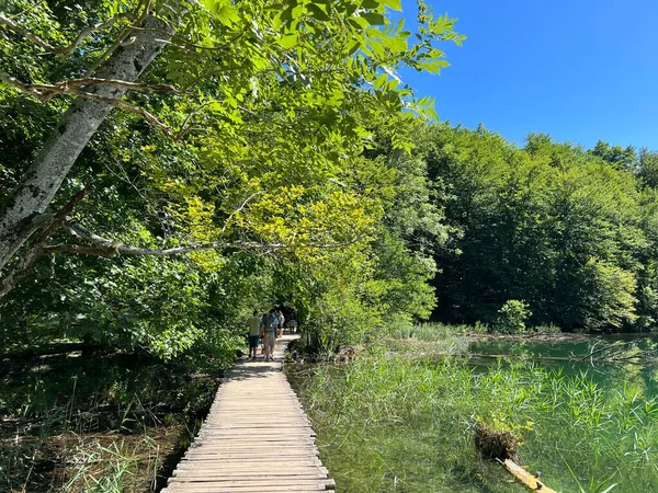 Plitvice Gölleri Ulusal Parkı 'ndaki göller ve orman boyunca tahta patikalar ve geçitler - Plitvica, Hırvatistan (Drvene staze i setnice u Nacionalnom parku Plitvicka jezera - Hrvatska)