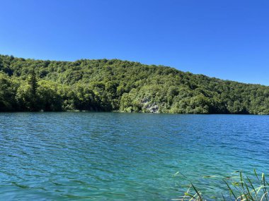 Plitvice Lakes Ulusal Parkı (UNESCO) - Plitvica, Hırvatistan veya Slikoviti krajobrazi i prekrasni motivi u nacionalnom parku Plitvicka jezera - Plitvice, Hrvatska