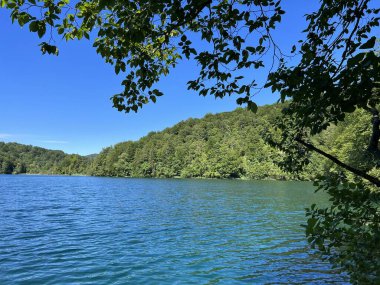 Plitvice Lakes Ulusal Parkı (UNESCO) - Plitvica, Hırvatistan veya Slikoviti krajobrazi i prekrasni motivi u nacionalnom parku Plitvicka jezera - Plitvice, Hrvatska