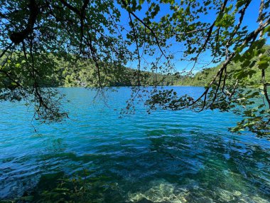 Plitvice Lakes Ulusal Parkı (UNESCO) - Plitvica, Hırvatistan veya Slikoviti krajobrazi i prekrasni motivi u nacionalnom parku Plitvicka jezera - Plitvice, Hrvatska
