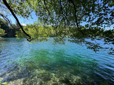 Plitvice Lakes Ulusal Parkı (UNESCO) - Plitvica, Hırvatistan veya Slikoviti krajobrazi i prekrasni motivi u nacionalnom parku Plitvicka jezera - Plitvice, Hrvatska
