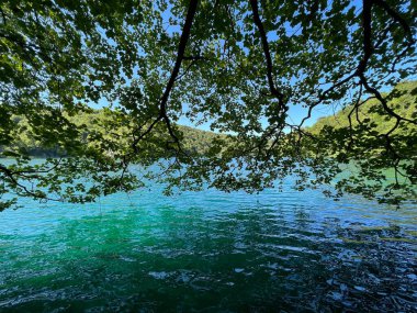 Plitvice Lakes Ulusal Parkı (UNESCO) - Plitvica, Hırvatistan veya Slikoviti krajobrazi i prekrasni motivi u nacionalnom parku Plitvicka jezera - Plitvice, Hrvatska