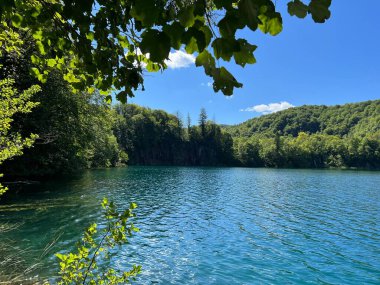 Plitvice Lakes Ulusal Parkı (UNESCO) - Plitvica, Hırvatistan veya Slikoviti krajobrazi i prekrasni motivi u nacionalnom parku Plitvicka jezera - Plitvice, Hrvatska