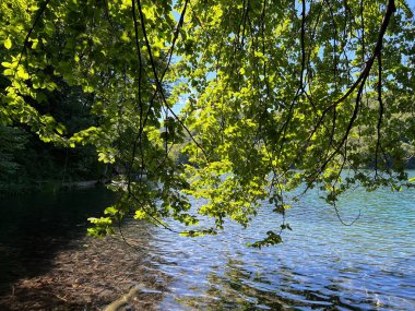 Plitvice Lakes Ulusal Parkı (UNESCO) - Plitvica, Hırvatistan veya Slikoviti krajobrazi i prekrasni motivi u nacionalnom parku Plitvicka jezera - Plitvice, Hrvatska