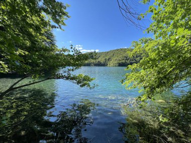 Plitvice Lakes Ulusal Parkı (UNESCO) - Plitvica, Hırvatistan veya Slikoviti krajobrazi i prekrasni motivi u nacionalnom parku Plitvicka jezera - Plitvice, Hrvatska