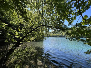 Plitvice Lakes Ulusal Parkı (UNESCO) - Plitvica, Hırvatistan veya Slikoviti krajobrazi i prekrasni motivi u nacionalnom parku Plitvicka jezera - Plitvice, Hrvatska