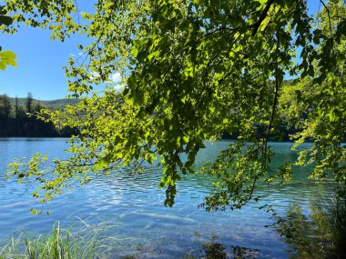 Plitvice Lakes Ulusal Parkı (UNESCO) - Plitvica, Hırvatistan veya Slikoviti krajobrazi i prekrasni motivi u nacionalnom parku Plitvicka jezera - Plitvice, Hrvatska