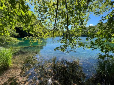 Plitvice Lakes Ulusal Parkı (UNESCO) - Plitvica, Hırvatistan veya Slikoviti krajobrazi i prekrasni motivi u nacionalnom parku Plitvicka jezera - Plitvice, Hrvatska
