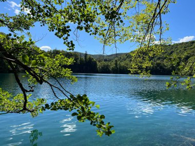 Plitvice Lakes Ulusal Parkı (UNESCO) - Plitvica, Hırvatistan veya Slikoviti krajobrazi i prekrasni motivi u nacionalnom parku Plitvicka jezera - Plitvice, Hrvatska