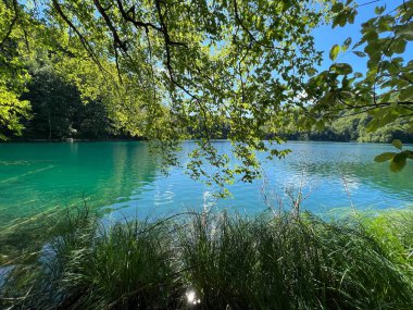 Plitvice Lakes Ulusal Parkı (UNESCO) - Plitvica, Hırvatistan veya Slikoviti krajobrazi i prekrasni motivi u nacionalnom parku Plitvicka jezera - Plitvice, Hrvatska