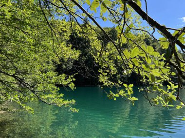 Plitvice Lakes Ulusal Parkı (UNESCO) - Plitvica, Hırvatistan veya Slikoviti krajobrazi i prekrasni motivi u nacionalnom parku Plitvicka jezera - Plitvice, Hrvatska