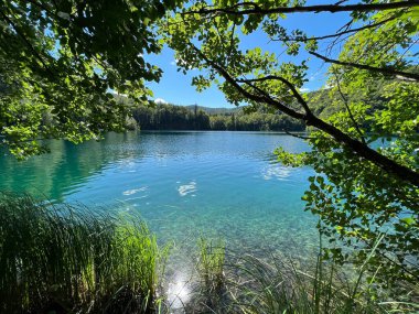 Plitvice Lakes Ulusal Parkı (UNESCO) - Plitvica, Hırvatistan veya Slikoviti krajobrazi i prekrasni motivi u nacionalnom parku Plitvicka jezera - Plitvice, Hrvatska